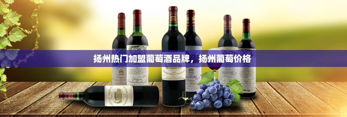 扬州热门加盟葡萄酒品牌，扬州葡萄价格 