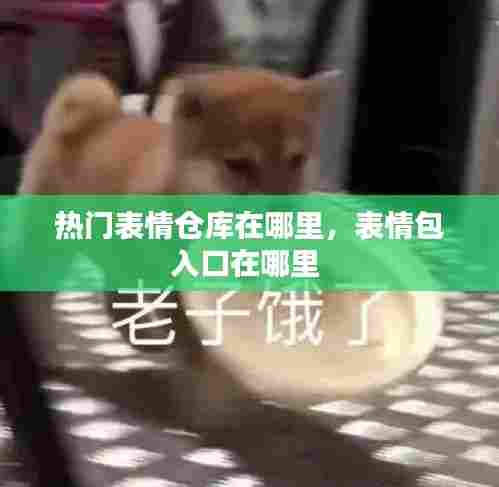 热门表情仓库在哪里，表情包入口在哪里 