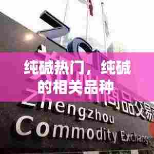 纯碱热门，纯碱的相关品种 