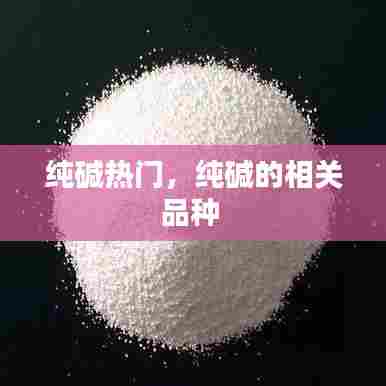 纯碱热门,纯碱的相关品种