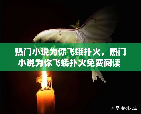 热门小说为你飞蛾扑火,热门小说为你飞蛾扑火免费阅读