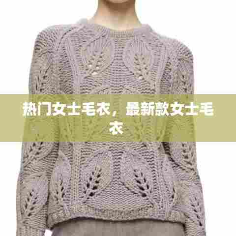 热门女士毛衣，最新款女士毛衣 