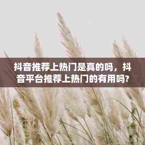 抖音推荐上热门是真的吗,抖音平台推荐上热门的有用吗?