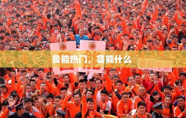 鲁能热门，鲁能什么 