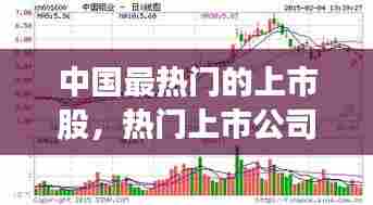 中国最热门的上市股,热门上市公司股票