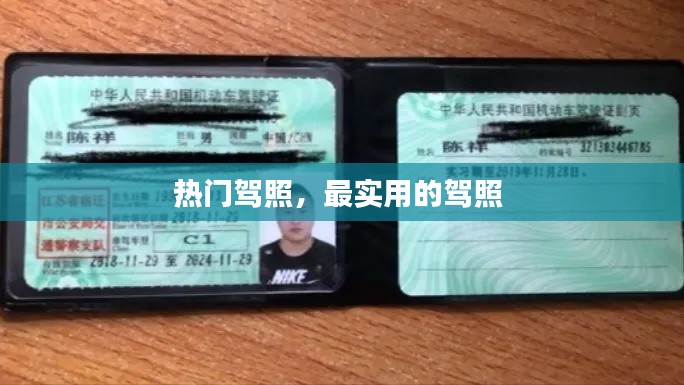 热门驾照,最实用的驾照