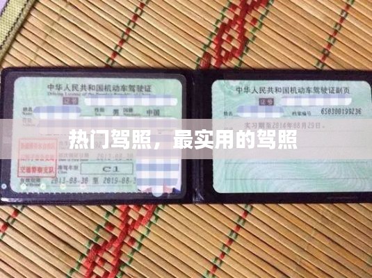 热门驾照,最实用的驾照