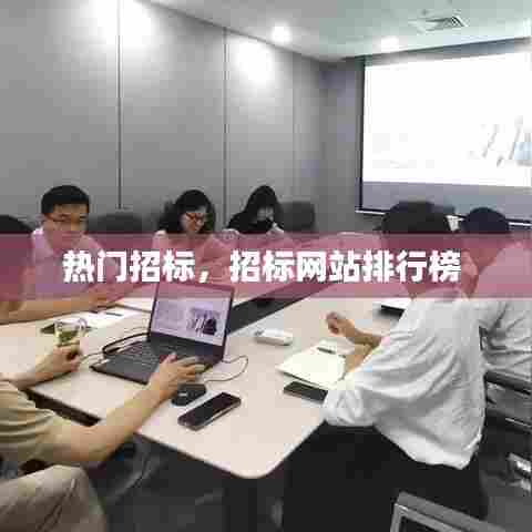 热门招标，招标网站排行榜 