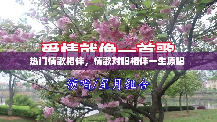 热门情歌相伴,情歌对唱相伴一生原唱