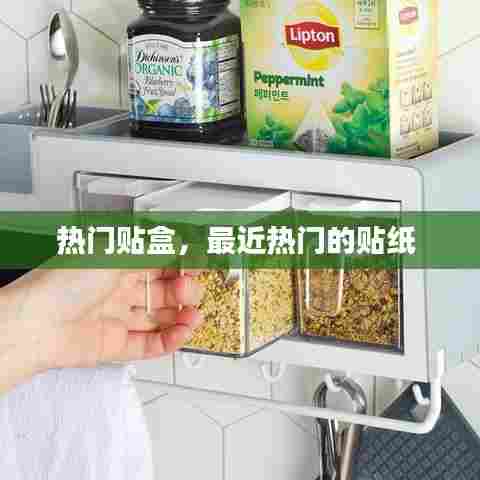 热门贴盒，最近热门的贴纸 