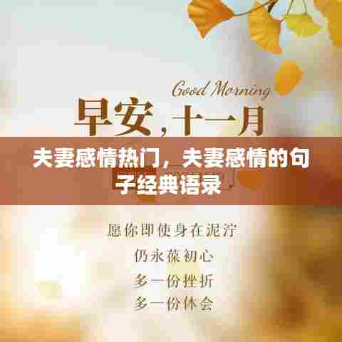 夫妻感情热门,夫妻感情的句子经典语录