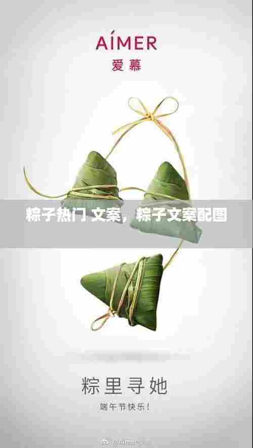 粽子热门 文案,粽子文案配图
