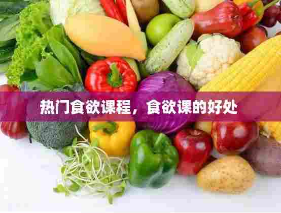 热门食欲课程，食欲课的好处 