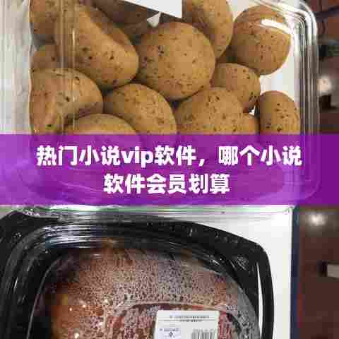 热门小说vip软件，哪个小说软件会员划算 
