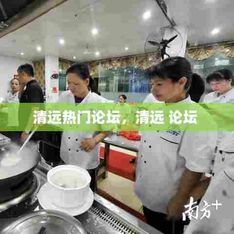 清远热门论坛,清远 论坛