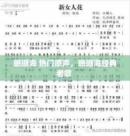 珊瑚海 热门原声，珊瑚海经典老歌 