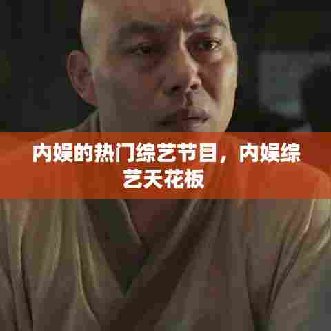 内娱的热门综艺节目,内娱综艺天花板