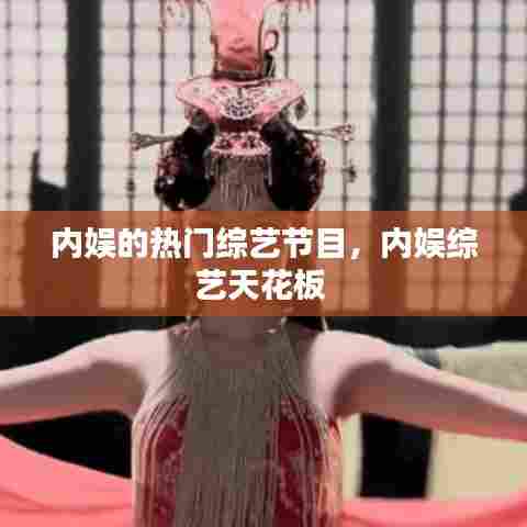 内娱的热门综艺节目,内娱综艺天花板