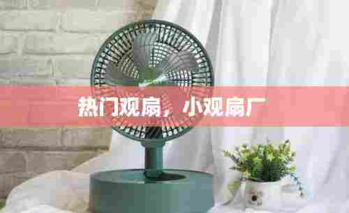 热门观扇，小观扇厂 