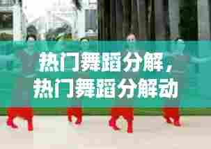 热门舞蹈分解,热门舞蹈分解动作视频