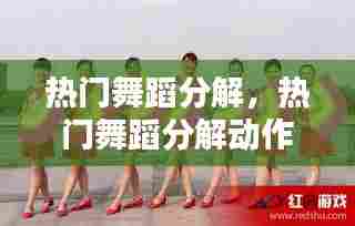 热门舞蹈分解,热门舞蹈分解动作视频