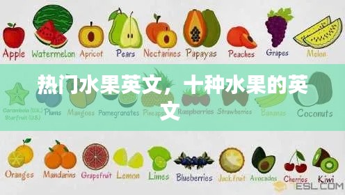 热门水果英文,十种水果的英文