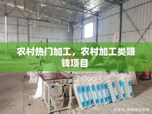 农村热门加工，农村加工类赚钱项目 