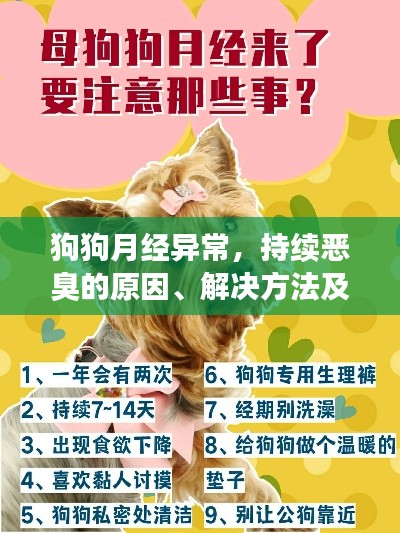 绝代佳人 第6页