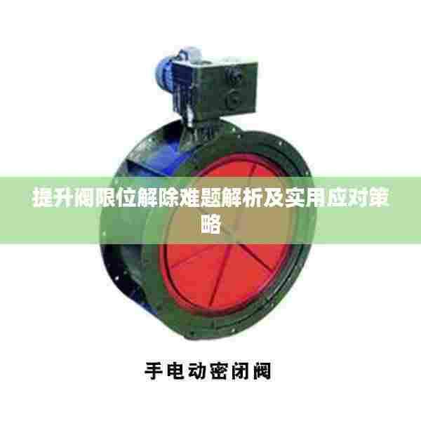 提升阀限位解除难题解析及实用应对策略