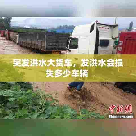 突发洪水大货车，发洪水会损失多少车辆 