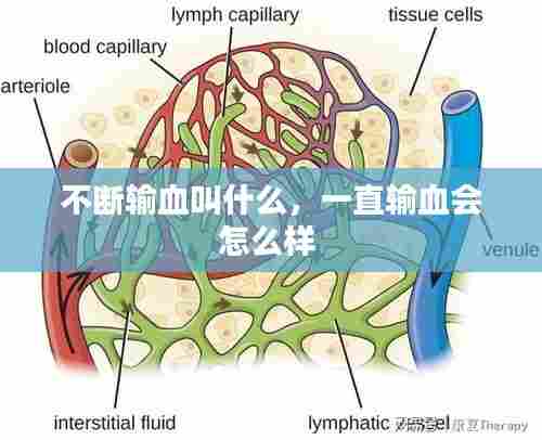 不断输血叫什么,一直输血会怎么样