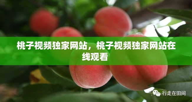 桃子视频独家网站，桃子视频独家网站在线观看 