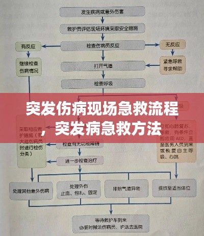 突发伤病现场急救流程，突发病急救方法 