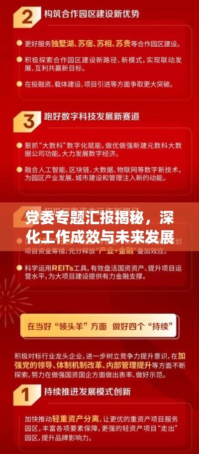党委专题汇报揭秘，深化工作成效与未来发展规划展望