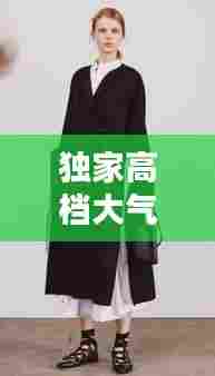 独家高档大气大衣图片,高端大衣都是有哪些面料