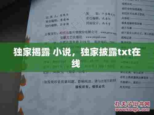 独家揭露 小说，独家披露txt在线 