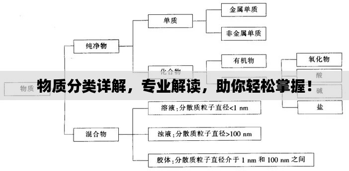 物质分类详解，专业解读，助你轻松掌握！