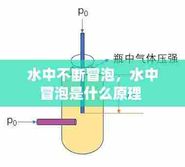 水中不断冒泡,水中冒泡是什么原理