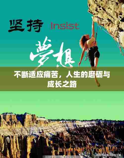 不断适应痛苦，人生的磨砺与成长之路