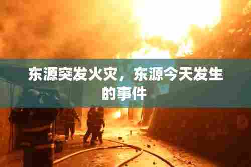 东源突发火灾，东源今天发生的事件 