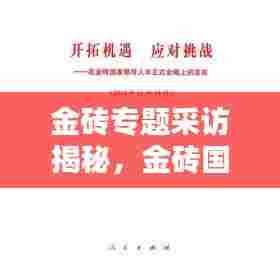 金砖专题采访揭秘，金砖国家的机遇与挑战全面解析