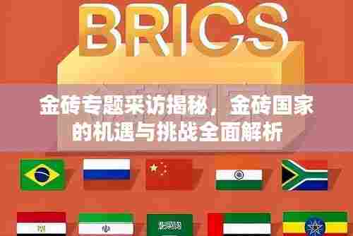 金砖专题采访揭秘,金砖国家的机遇与挑战全面解析