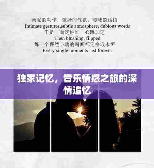 独家记忆，音乐情感之旅的深情追忆