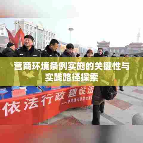 营商环境条例实施的关键性与实践路径探索