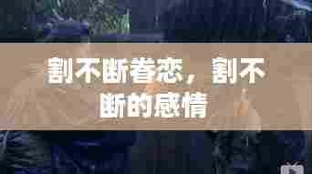 割不断眷恋，割不断的感情 