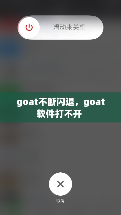 goat不断闪退,goat软件打不开