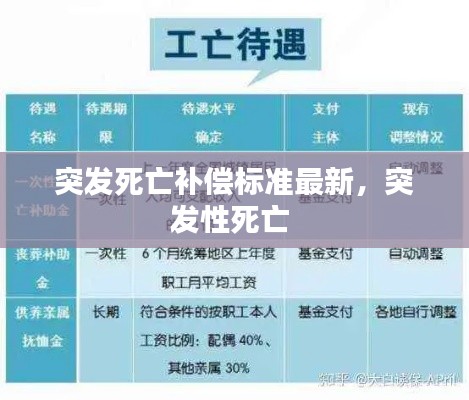 突发死亡补偿标准最新,突发性死亡