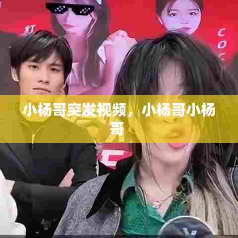 小杨哥突发视频,小杨哥小杨哥