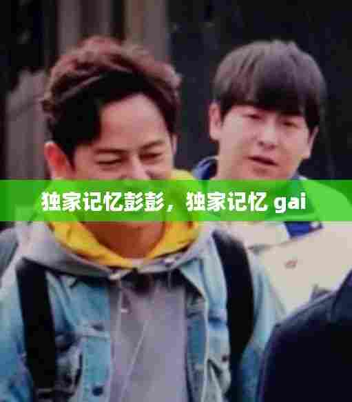 独家记忆彭彭，独家记忆 gai 