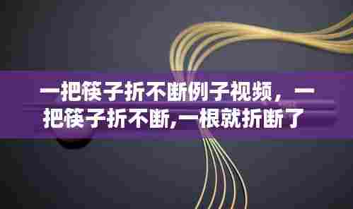 一把筷子折不断例子视频，一把筷子折不断,一根就折断了 